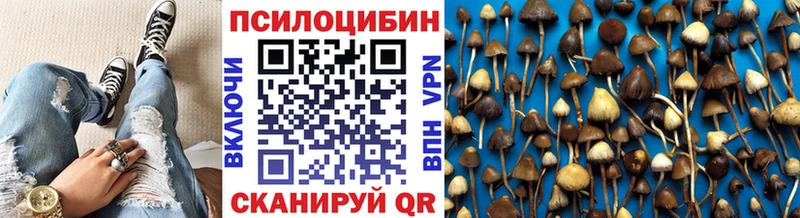 mega как войти  даркнет Telegram  Галлюциногенные грибы Magic Shrooms  Чехов 